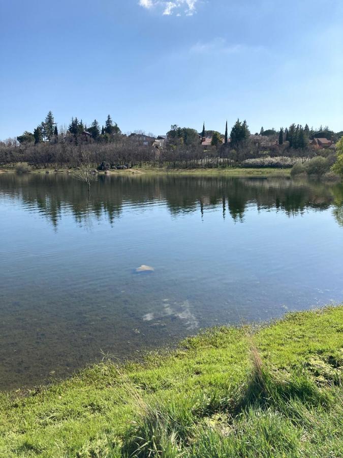 Los Cedros, Gran Chalet Con Piscina Y Apartamento En Navacerrada Luaran gambar