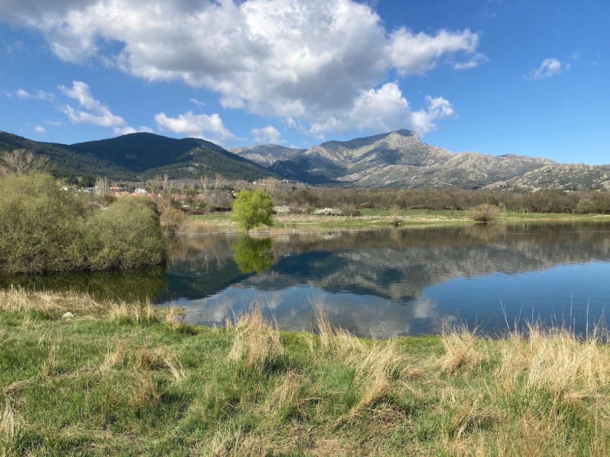 Los Cedros, Gran Chalet Con Piscina Y Apartamento En Navacerrada Luaran gambar