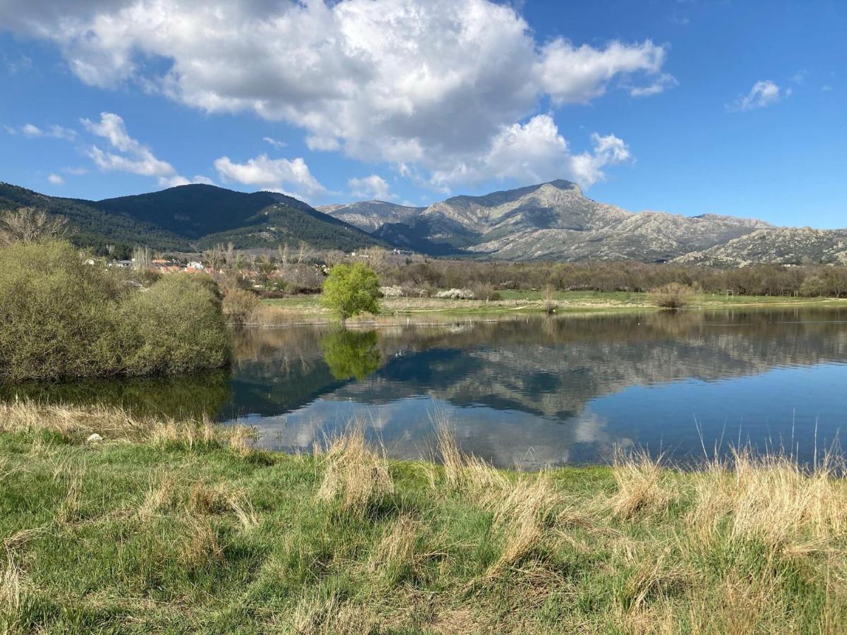 Los Cedros, Gran Chalet Con Piscina Y Apartamento En Navacerrada Villa Luaran gambar