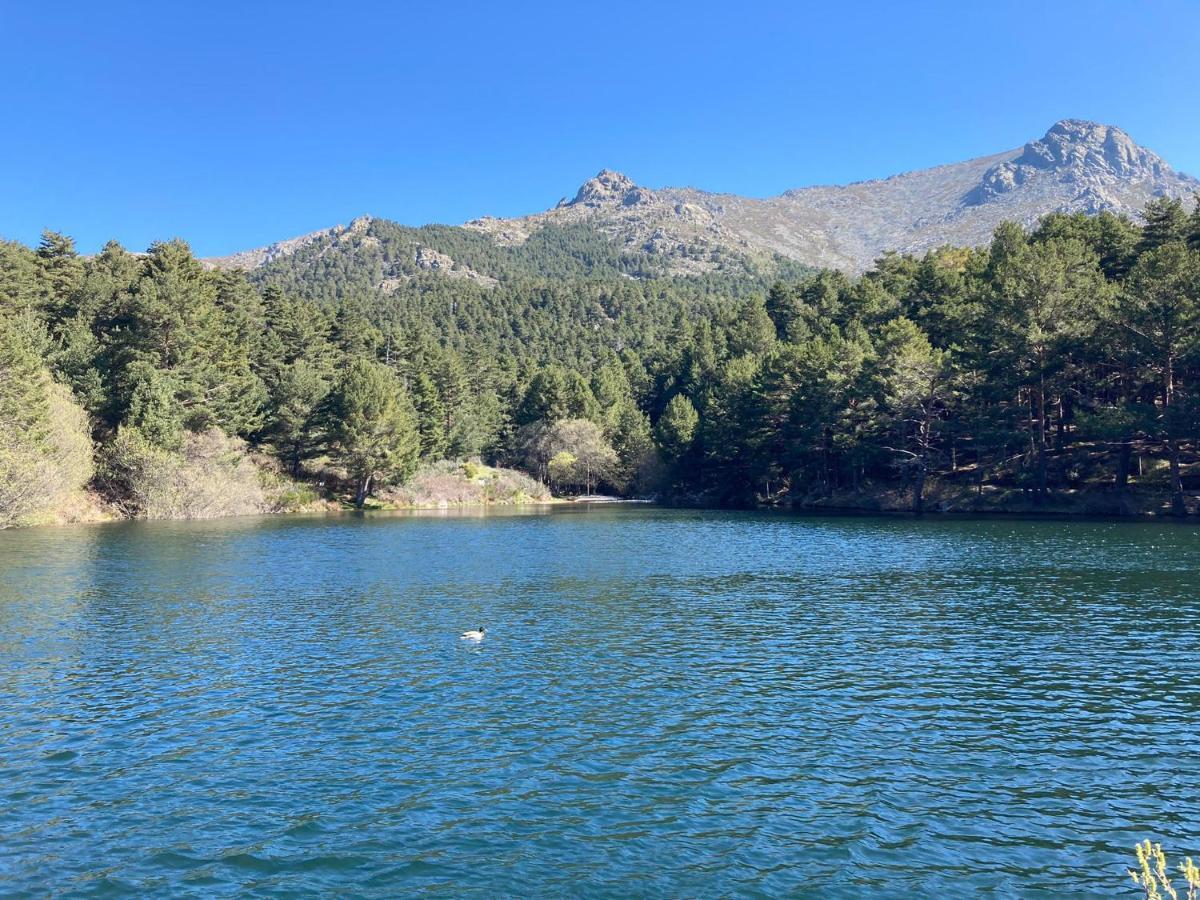 Los Cedros, Gran Chalet Con Piscina Y Apartamento En Navacerrada Villa Luaran gambar